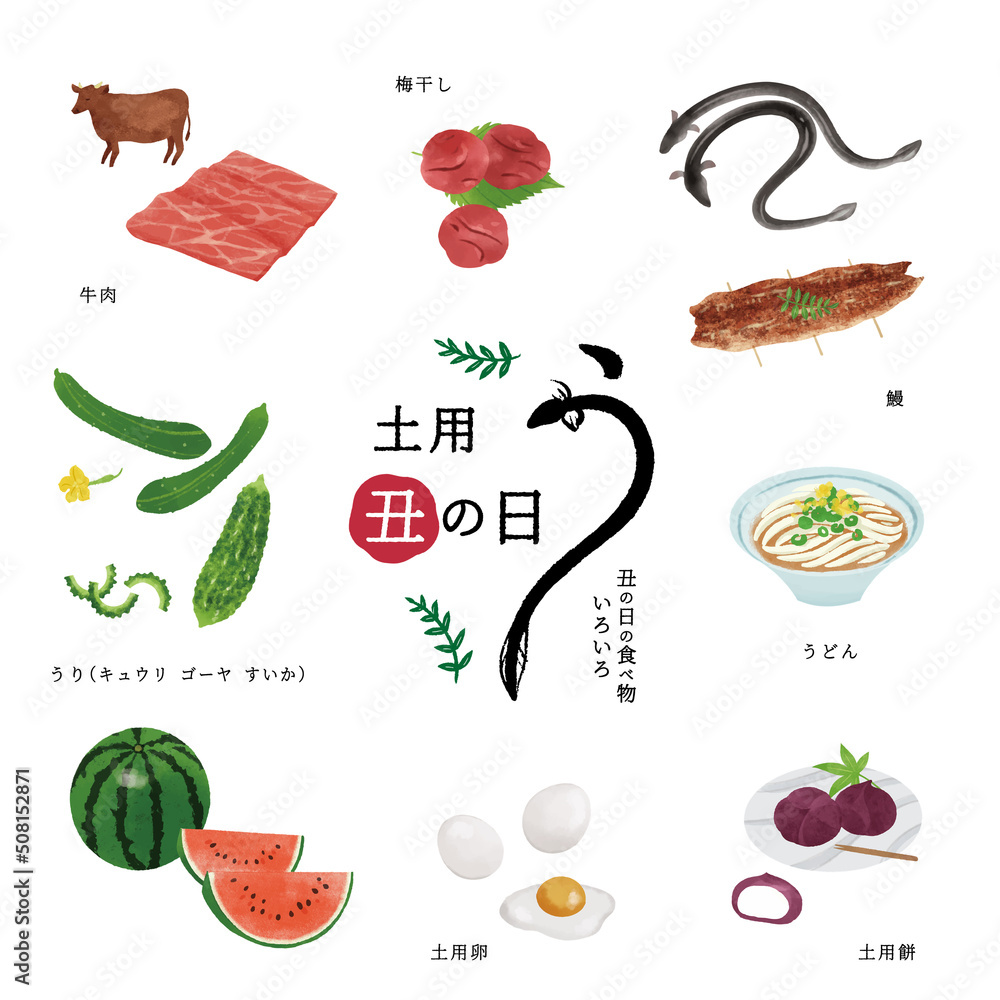 土用の丑の日の食べ物のイラスト/うなぎ・牛肉 Stock Vector | Adobe Stock