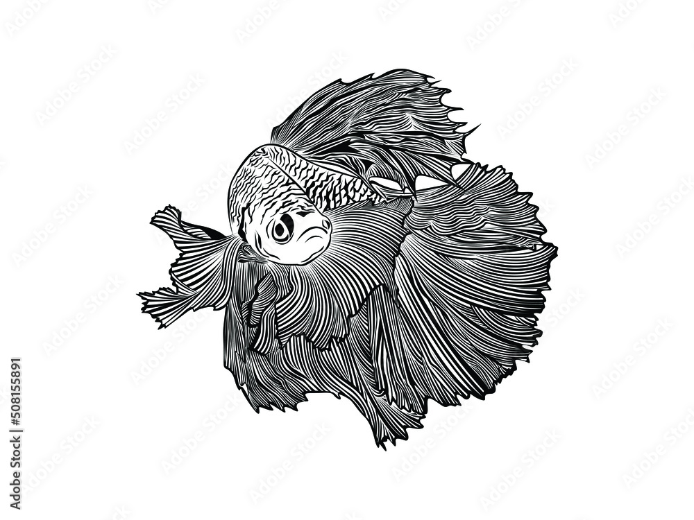 Siamese Fighting Fish Icon Vector illustration. Betta Splendens fish ...