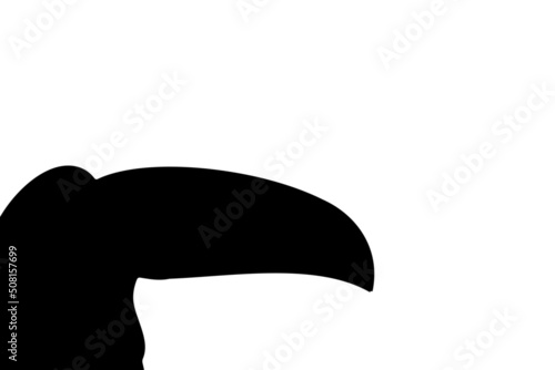 The Best Toco Toucan Background Silhouette Image Vector