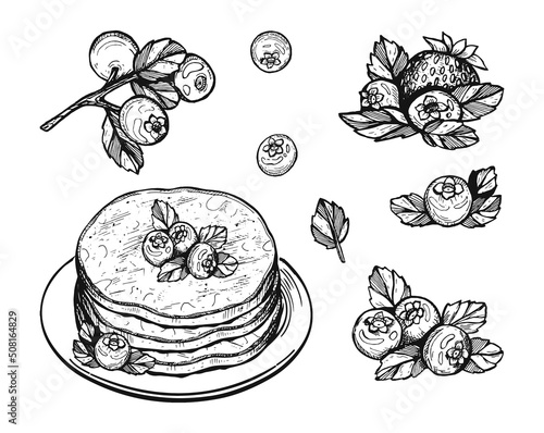 blueberry pancake vector sketch. pancakes with blueberries vector hand drawing doodles