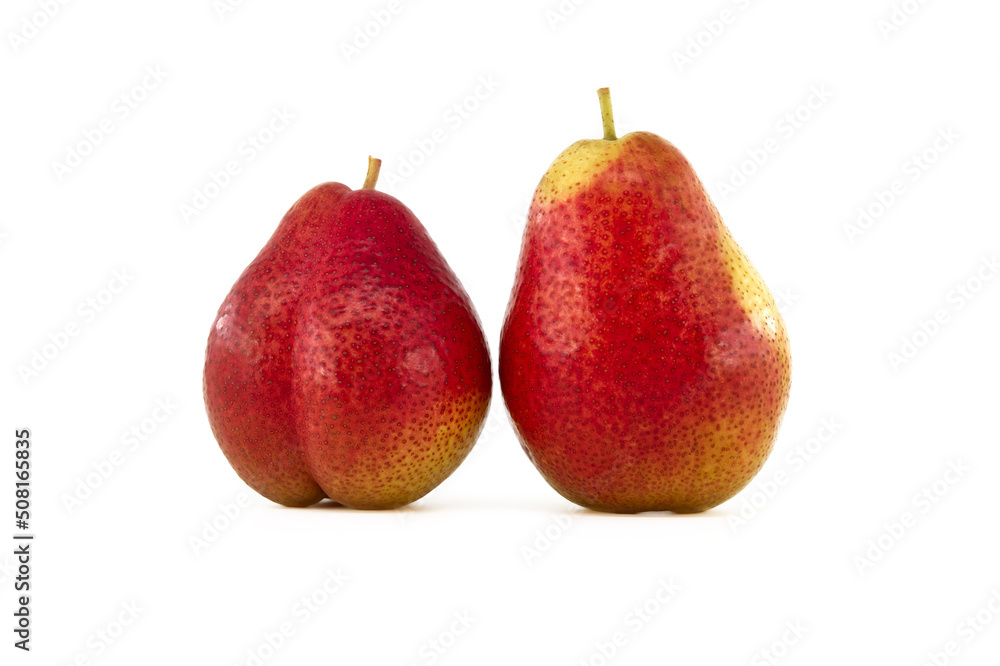 Ripe multicolored pears fruits isolated on white Ripe multicolored pears fruits isolated on white