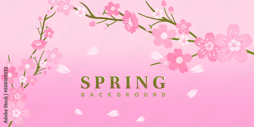 Pink cherry blossom background illustration