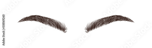 Realistic eyebrows on white background. Permanent make-up and microblading. Brow studio logo. Linear vector Illustration in trendy minimalist style.
