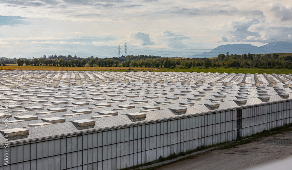 Fototapeta premium Glass greenhouses from above. Greenery. Contemporary technologies. Modern large commercial greenhouse construction