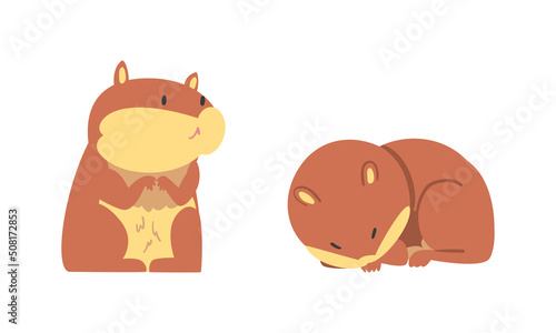 Cute Hamster Character with Stout Body Standing and Cuddling Vector Set