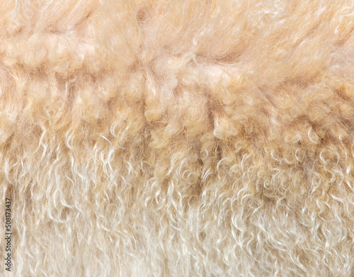 Animal fur as a background.