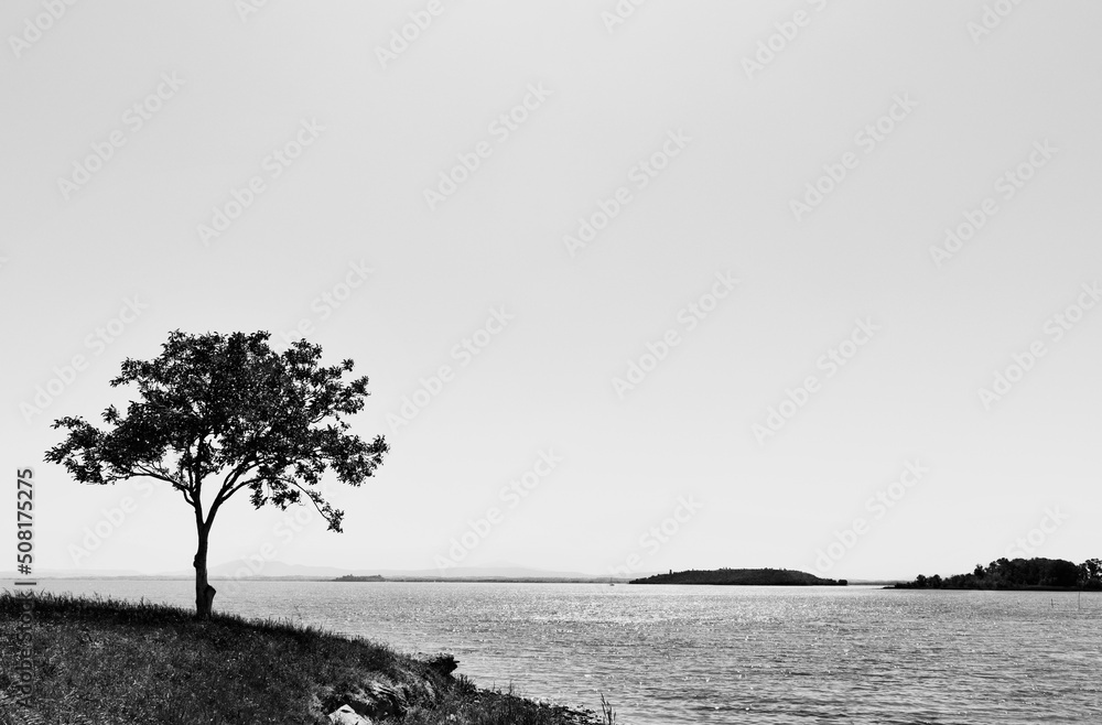 Obraz premium Black and white coastline