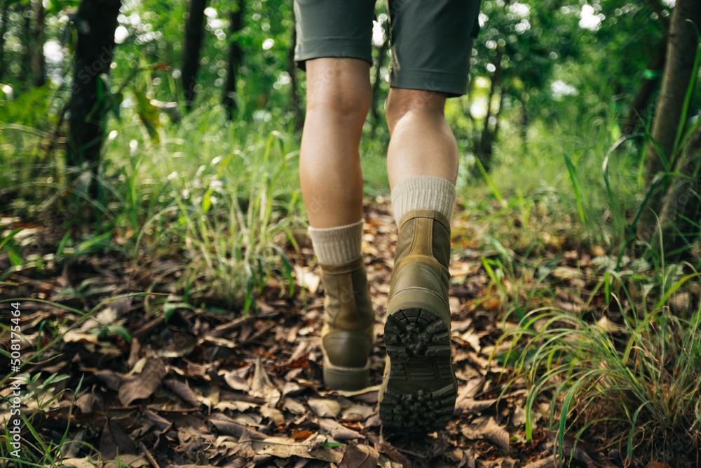 Woman hiker hiking on forest trail Woman hiker hiking on forest trail