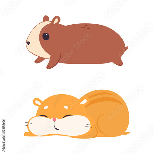 Cute Hamster Character with Stout Body Lying and Sleeping Vector Set
