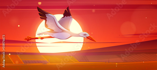 White stork flying above agriculture fields on background of big sunset sun. Vector cartoon illustration of rural landscape, countryside scenery with wild bird ciconia in evening