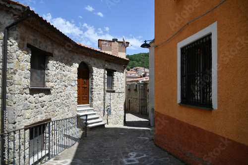 Fototapeta Naklejka Na Ścianę i Meble -  A narrow street between the old houses of Sasso di Castalda, a village in the mountains of Basilicata, Italy.