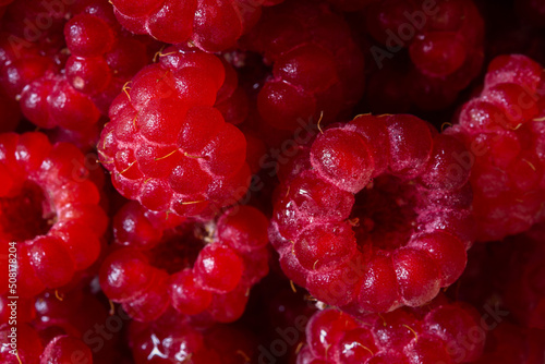 Raspberry macro background. The texture is food. Ripe raspberries in close-up. The concept of summer food, freshness, vitamins. Beautiful berries in a selective focus. Summer dietary healthy dessert.