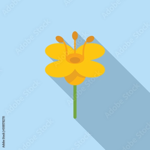 Flower label canola icon flat vector. Oil plant