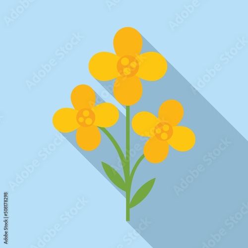 Field canola icon flat vector. Oil plant