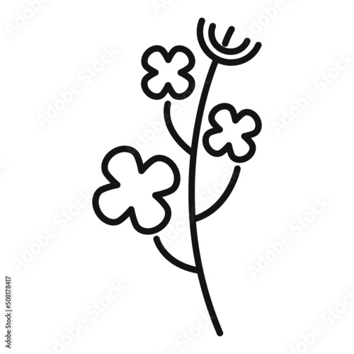 Canola plant icon outline vector. Oil flower