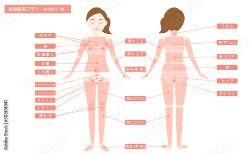 女性 脱毛箇所一覧 全身とVIO