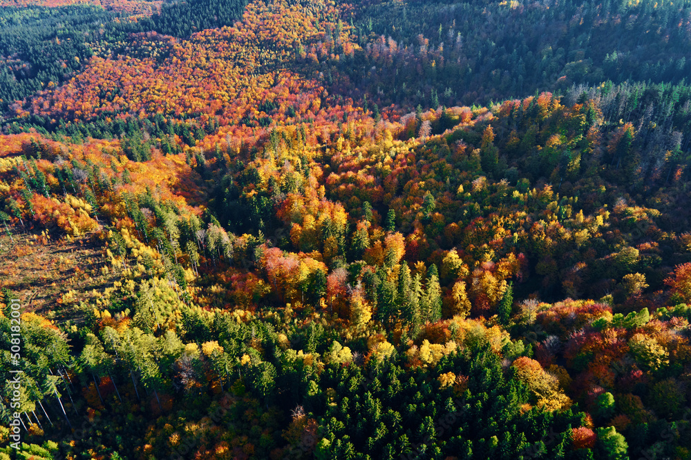 Mountains covered with autumn colored forest, aerial view. Beautiful nature landscape