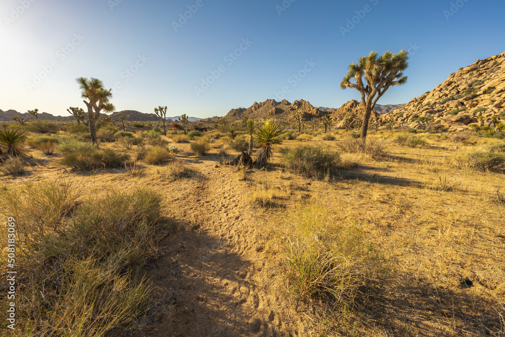 hiking the maze loop in joshua tree national park, california, usa hiking the maze loop in joshua tree national park, california, usa