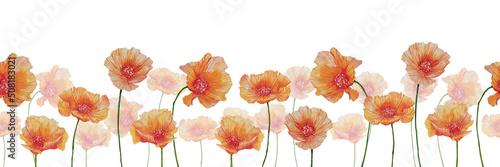 Seamless field of watercolor illustration of poppy flowers. Hand-drawn floral border for decoration of rooms, books, design of cover, card. © Gulsim