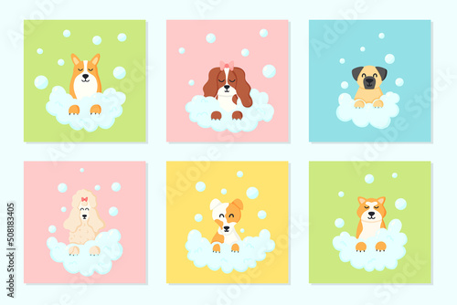 Canvas Print Grooming salon