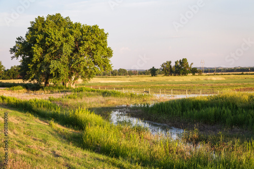 Trees, pond, and grass in Nebraska