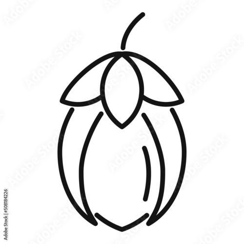 Jojoba icon outline vector. Oil plant