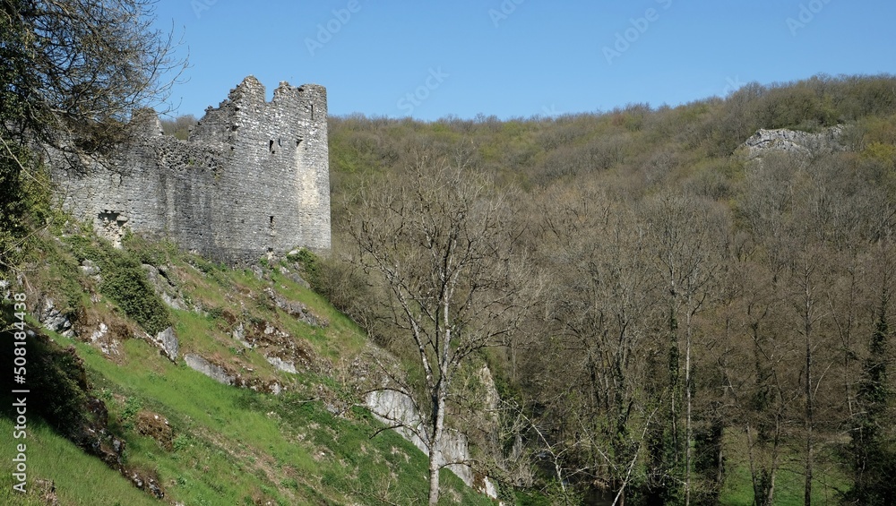 Ruines d'un château fort en pierre surplombant une colline et une vallée verdoyante Ruines d'un château fort en pierre surplombant une colline et une vallée verdoyante