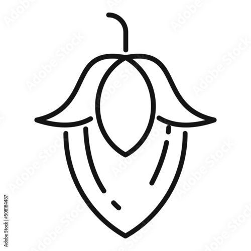 Tableau sur toile Organic jojoba icon outline vector. Plant seed