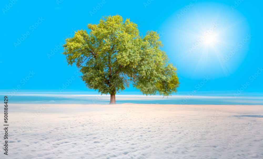 A lonely tree rising above the majestic clouds A lonely tree rising above the majestic clouds