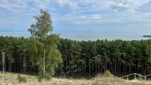 Forest, sea and clear sky