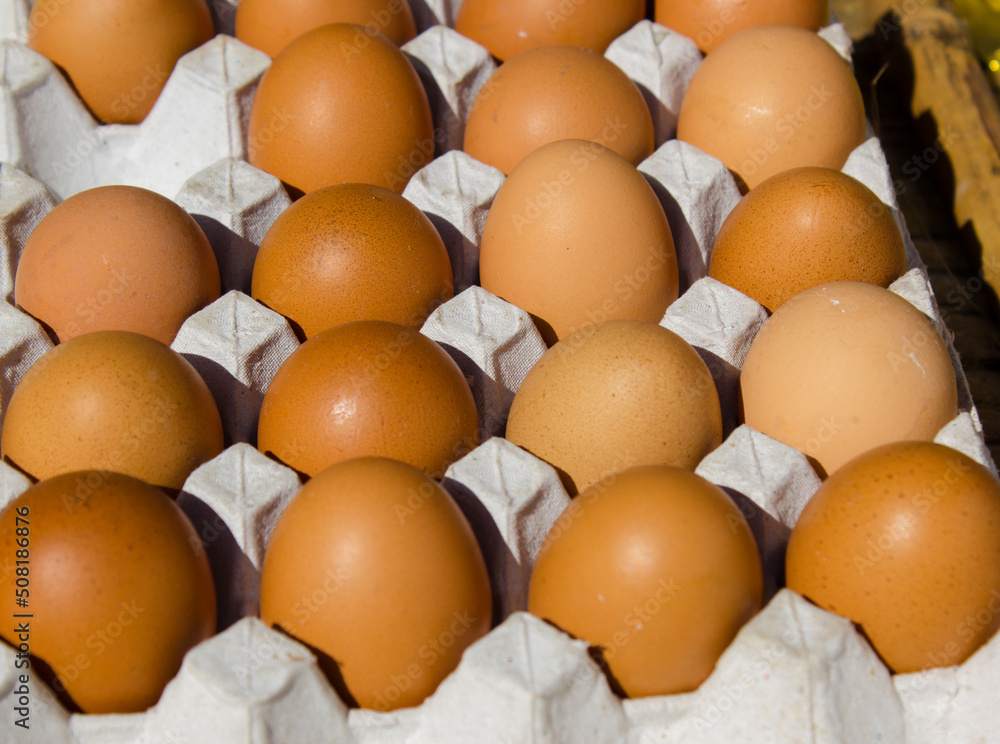 eggs in box eggs in box