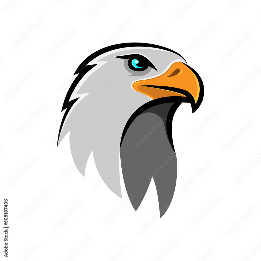 Obraz premium Eagle head illustration