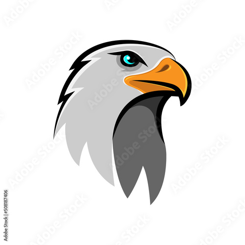 Eagle head illustration