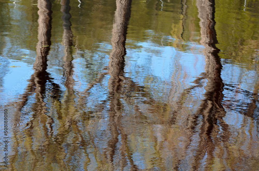 Obraz premium Reflections on the water