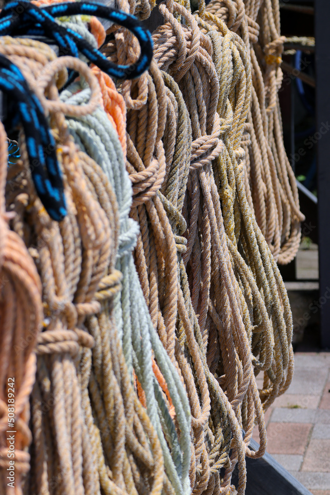 Colorful Bundled rope hanging in the harbor. キレイにまとめられて乾してある舫いロープ。	