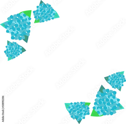 紫陽花　あじさい　アジサイ　花