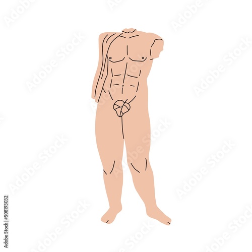 Old Greek naked body statue. Nude headless man torso, antique sculpture of Ancient Greece drawn in modern style. Vintage gypsum monument. Flat vector illustration isolated on white background