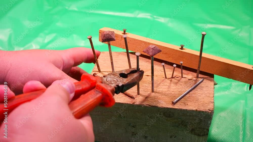 pulling nails with pliers. Pulling nail with carpenter pliers rescue