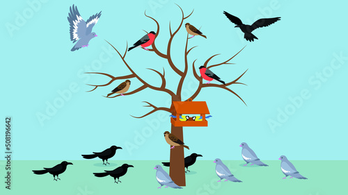 Birds near bare tree with feeder