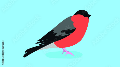 The bullfinch stands on its paws and looks ahead