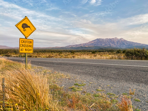 Tongariro national park volcano view from the road with a big yellow road sign in the foreground warning about kiwi birds crossing at night. Typical New Zealand scene.  