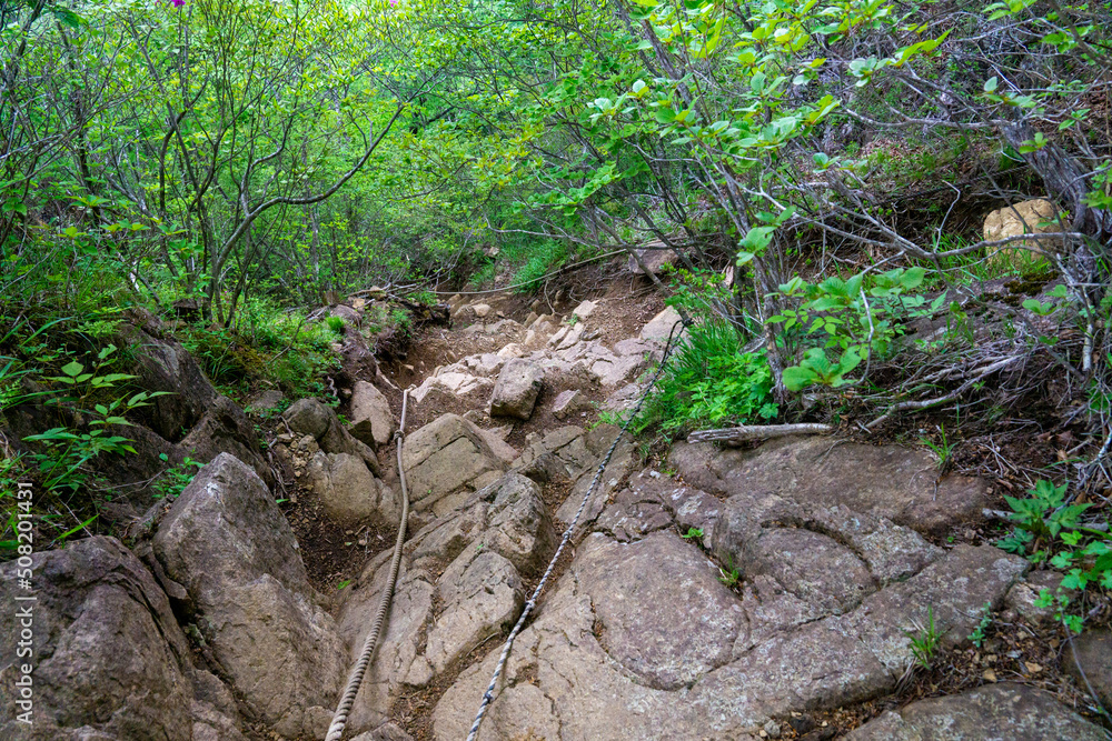 Obraz premium 十二ヶ岳の岩稜帯