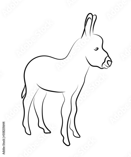 Cute baby donkey standing. Sketch lines hand drawn strokes style vector illustration.
