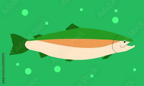 salmon fish simple, sea food, vector illustration