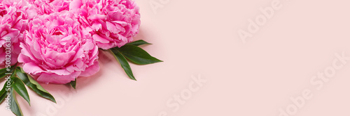 Banner with texture of pink delicate peonies. Romantic background with copyspace.
