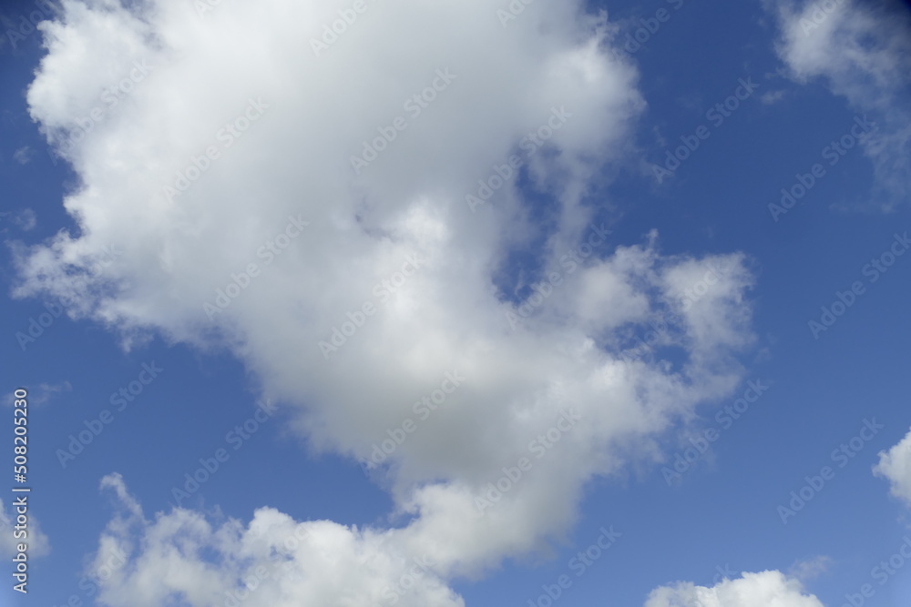Obraz premium Weisse Quellwolken, Blauer Himmel, Deutschland, Europa