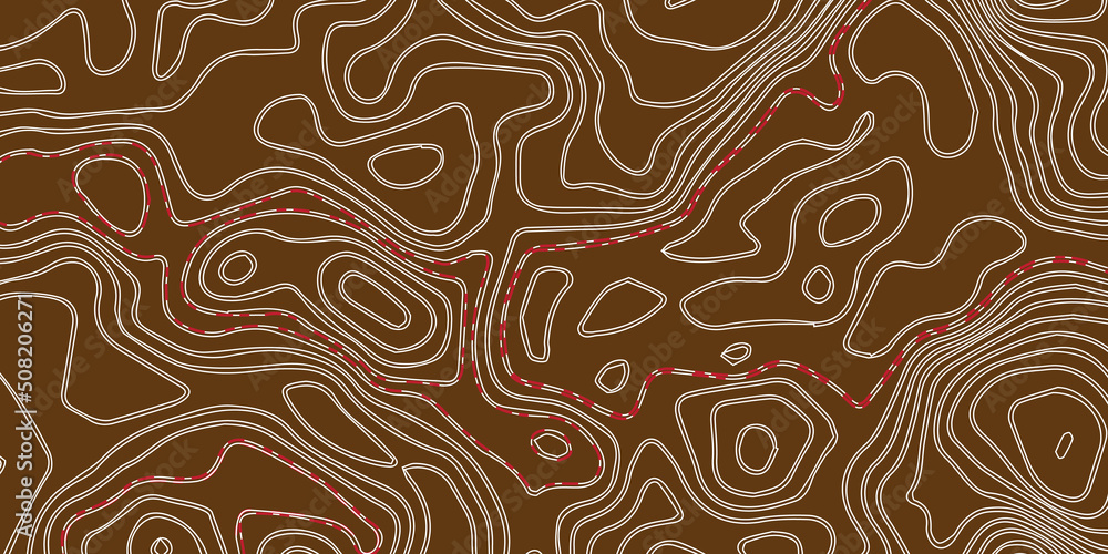 Topographic map background concept. Vector abstract illustration. Geography concept. The stylized height of the topographic map contour in lines and contours on paper background.
