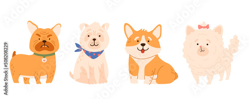 Fluffy shaggy little dogs breed pomeranian, pug, bulldog, corgi collection. Cartoon animal puppy set. Isolated vector illustration for t shirt print, game, textile, pet icons, kids design.