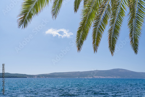 Fototapeta Naklejka Na Ścianę i Meble -  Palm branches against the background of the sea and blue sky