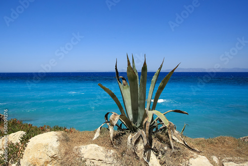 Town Rhodes promenade Greece